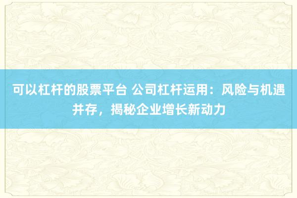 可以杠杆的股票平台 公司杠杆运用：风险与机遇并存，揭秘企业增长新动力
