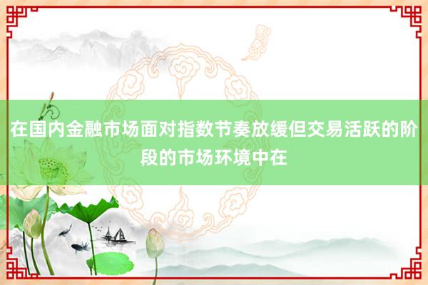 在国内金融市场面对指数节奏放缓但交易活跃的阶段的市场环境中在