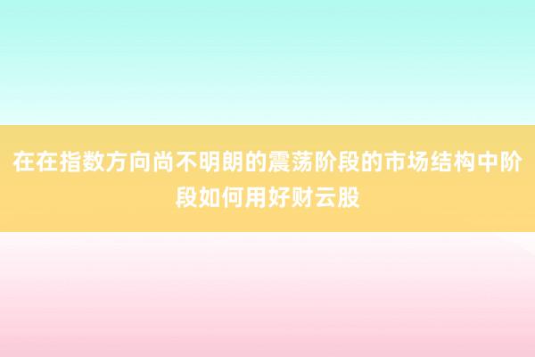 在在指数方向尚不明朗的震荡阶段的市场结构中阶段如何用好财云股