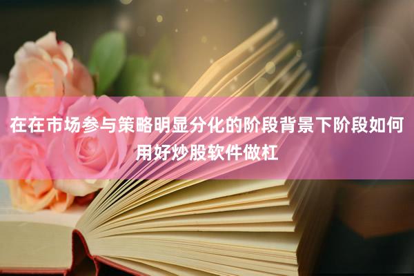 在在市场参与策略明显分化的阶段背景下阶段如何用好炒股软件做杠