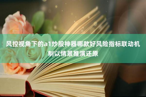 风控视角下的a1炒股神器哪款好风险指标联动机制以情景推演还原