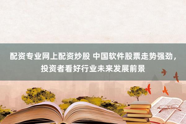 配资专业网上配资炒股 中国软件股票走势强劲，投资者看好行业未来发展前景