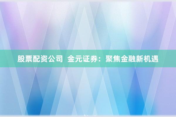 股票配资公司  金元证券：聚焦金融新机遇